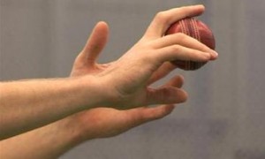 Elusive spinners from the 'Land of Spin'