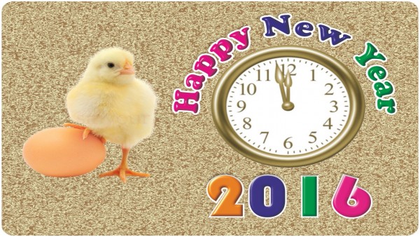 The Sports Mirror wishes you a Happy New Year 2016!