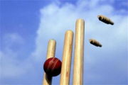 Social Media And Cricket