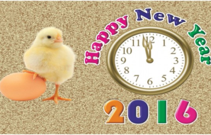 TheSportsMirror.com wishes you a Happy New Year 2016!