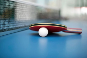 An Introduction to the World of Professional Table Tennis