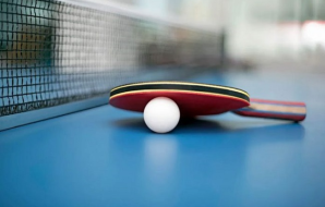 An Introduction to the World of Professional Table Tennis