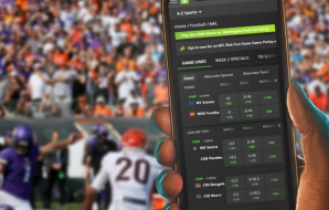 The Top 10 Sports for Betting